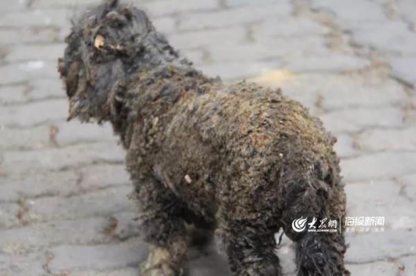 突發(fā)！青島一居民樓發(fā)生爆燃！已造1人死亡，7人受傷！3公里外有震感…