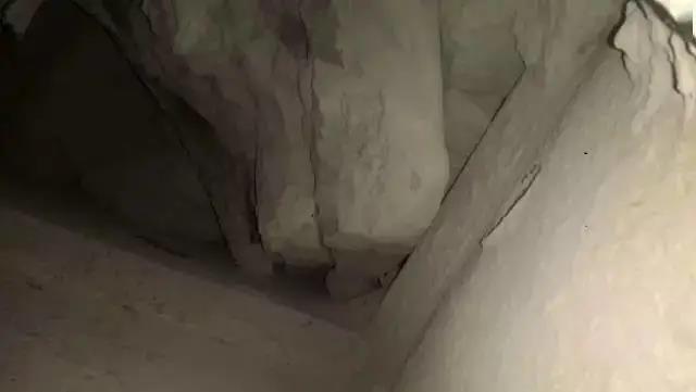 1645061933553290.jpg 微信圖片_20220217093621.jpg