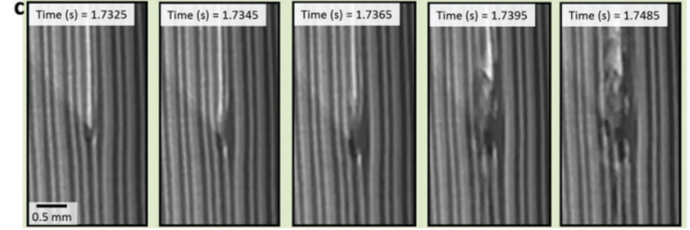 1704508130346005.png 10.png